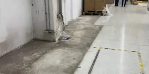 Pulido-sellado-encerado